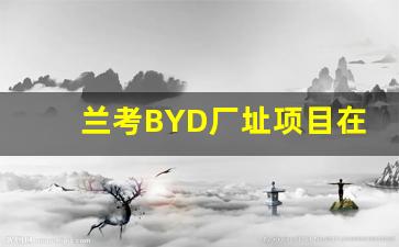 兰考BYD厂址项目在哪