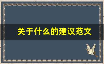 关于什么的建议范文