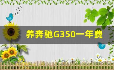 养奔驰G350一年费用,大g奔驰一年开销多少