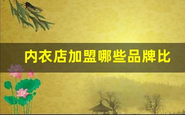 内衣店加盟哪些品牌比较好,都市丽人内衣加盟费多少