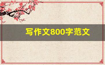 写作文800字范文