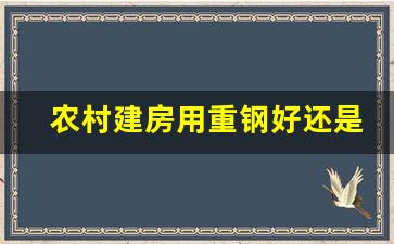 农村建房用重钢好还是砖混好