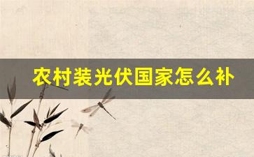 农村装光伏国家怎么补贴,山东农村光伏补贴政策