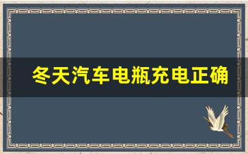 冬天汽车电瓶充电正确方法,红旗h5电瓶没电怎么启动