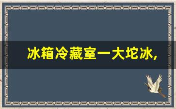 冰箱冷藏室一大坨冰,冰箱冷藏室后壁结冰怎么解决