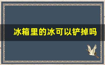 冰箱里的冰可以铲掉吗,冰箱里的冰去掉好还是不去好