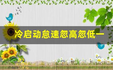 冷启动怠速忽高忽低一会又好了,冷车怠速不稳,热车正常