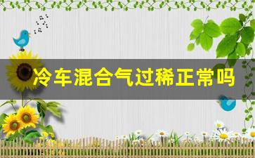 冷车混合气过稀正常吗,途观混合气过稀怎么解决