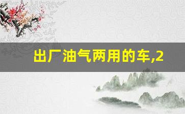 出厂油气两用的车,2023上市CNG双燃料全部面包