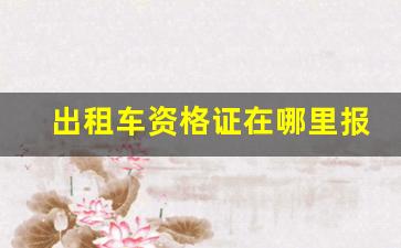 出租车资格证在哪里报名,出租车一天能挣500不