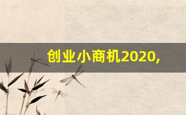 创业小商机2020,2020创业项目