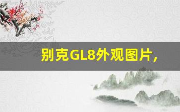 别克GL8外观图片,别克gl8多少钱一台