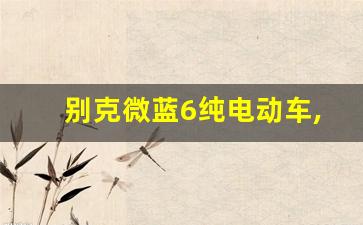 别克微蓝6纯电动车,别克微蓝6冬天实际续航