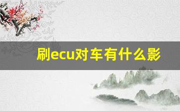 刷ecu对车有什么影响