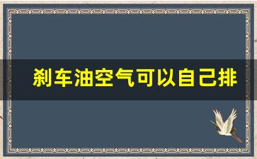 刹车油空气可以自己排出去吗,离合器油有空气的表现