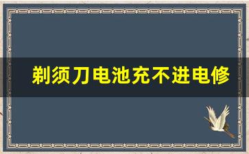 剃须刀电池充不进电修复方法