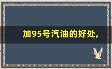 加95号汽油的好处,十大公认最好的机油