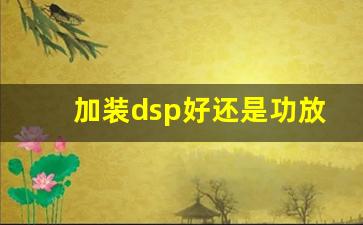 加装dsp好还是功放好,顶级dsp前十名