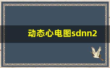 动态心电图sdnn201正常吗,24小时动态心电图报告参考值