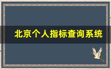 北京个人指标查询系统,北京市小客车指标管理信息网站