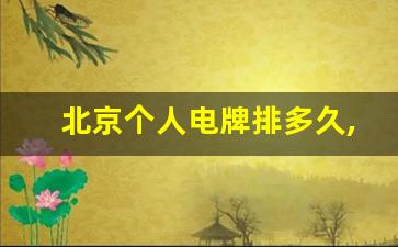 北京个人电牌排多久,北京电标排到哪一年了