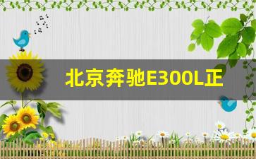 北京奔驰E300L正式发布