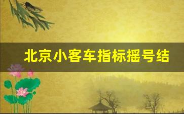 北京小客车指标摇号结果,2023年下半年摇号