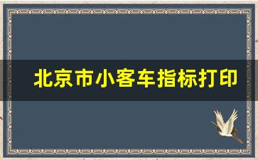 北京市小客车指标打印流程,小客车指标确认通知书下载打印方法