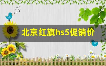 北京红旗hs5促销价格