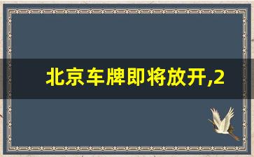 北京车牌即将放开,2024小汽车摇号政策解读