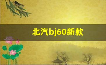 北汽bj60新款