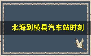 北海到横县汽车站时刻表,今天北海到阳江市大巴发车表