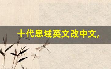 十代思域英文改中文,本田英文怎么改成中文中控