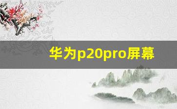 华为p20pro屏幕大小,华为p20pro多少克重量