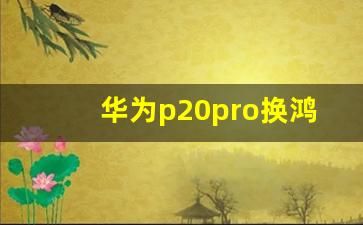 华为p20pro换鸿蒙系统能快吗,华为p20和p20pro区别