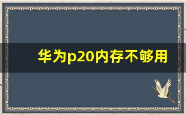 华为p20内存不够用怎么办