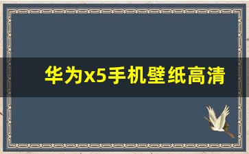 华为x5手机壁纸高清图片,华为壁纸超清4k全面屏