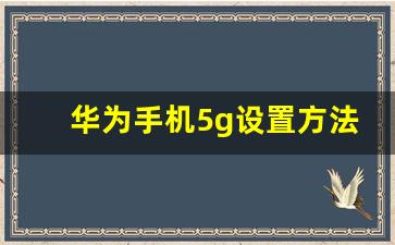 华为手机5g设置方法