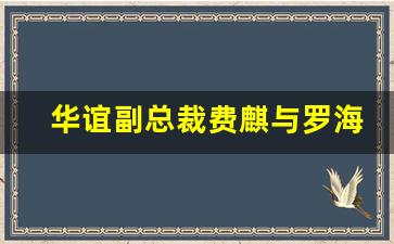 华谊副总裁费麒与罗海琼孩子