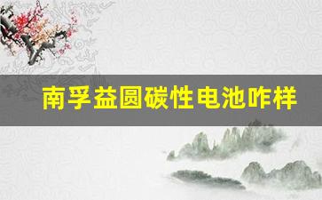 南孚益圆碳性电池咋样啊,区分碳性电池和碱性电池