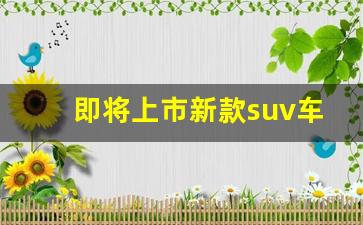 即将上市新款suv车,二手车交易市场瓜子二手车市场