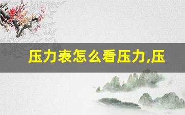 压力表怎么看压力,压力表8个压力图片