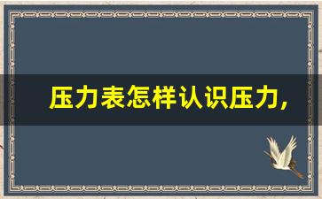 压力表怎样认识压力,压力表的工作原理