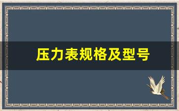 压力表规格及型号