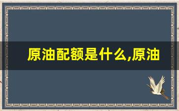 原油配额是什么,原油非国营贸易进口配额