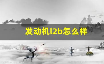 发动机l2b怎么样