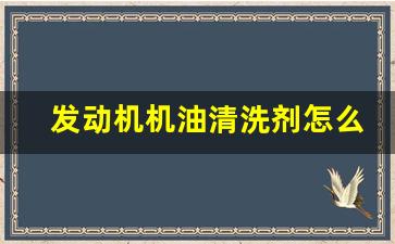 发动机机油清洗剂怎么用,3系宝马用什么机油好