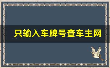 只输入车牌号查车主网上车管所,车牌号怎么找车主的信息