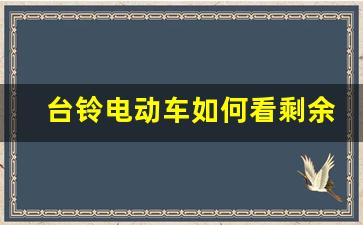 台铃电动车如何看剩余电量图解,台铃大劲鹰云动力怎么打开