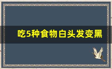 吃5种食物白头发变黑,防白发多吃这6种食物